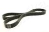 ASHIKA 112-6PK1540 V-Ribbed Belts